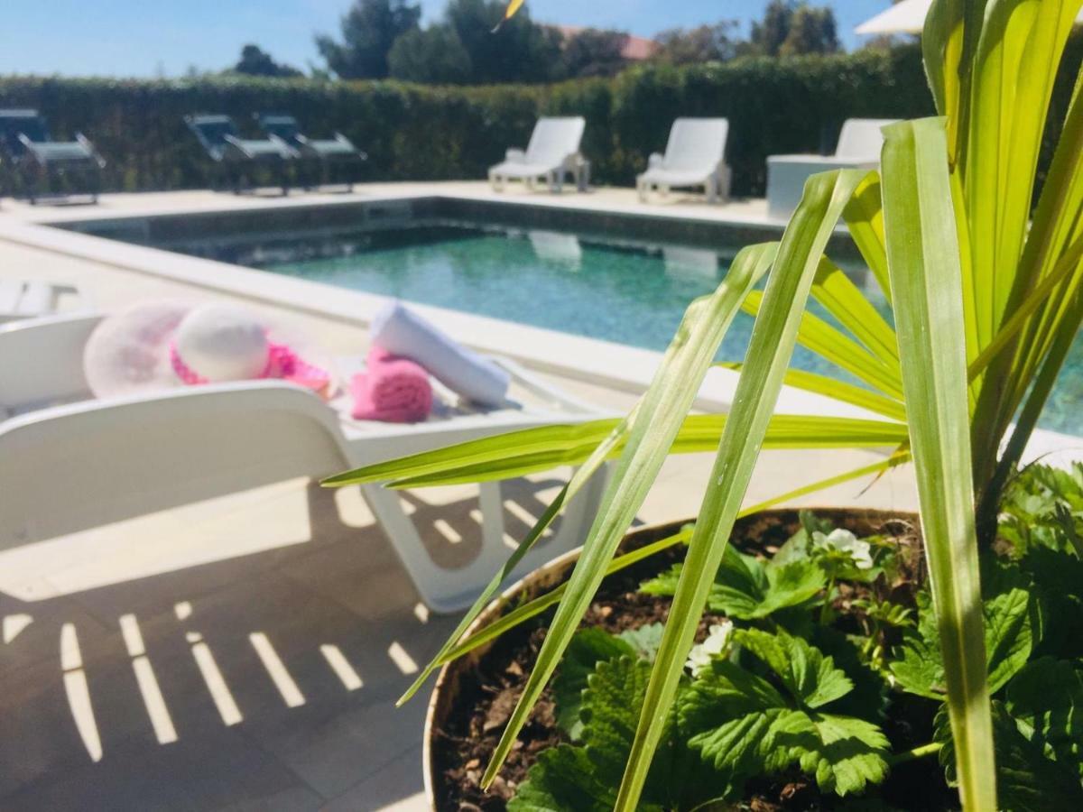ביבינייה Apartmani Andelo, Tommy, Leon מראה חיצוני תמונה
